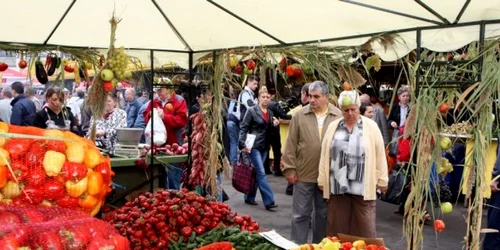 targ de toamna galati