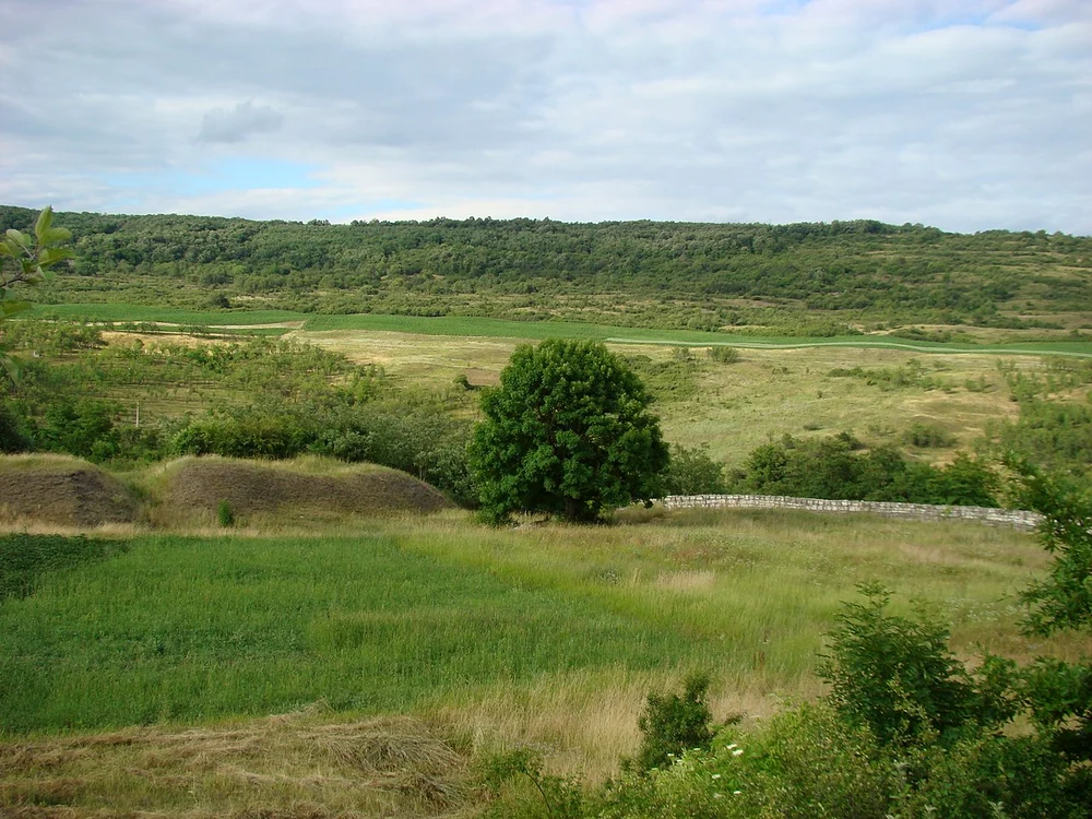 Ansamblul fortificat de la Dăbâca, presupusa cetate a lui Gelu FOTO wikipedia