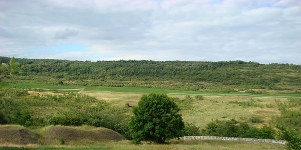 1280px Cetatea Dabaca (20) jfif