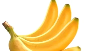 2 jpg jpeg