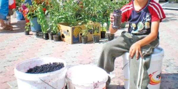 Copiii fără vacanţă
