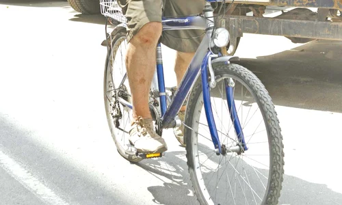 2008  Cântăreţul arăta bine și mergea zilnic pe bicicletă jpeg
