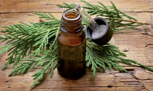 1 83523 original jpg jpeg