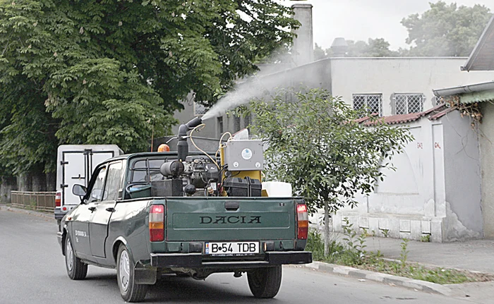 
    Dezinsecţia va începe în scurtă vreme  