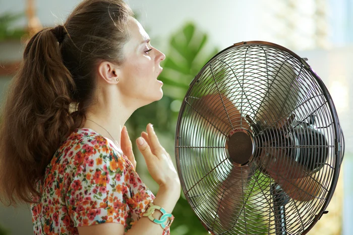 
    Cardiologul Vasi Rădulescu explică de ce simţim că ne este cald   