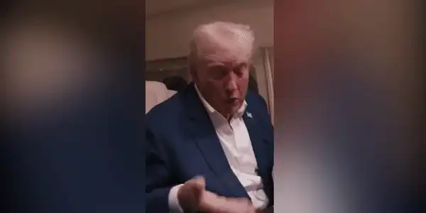 trump gif