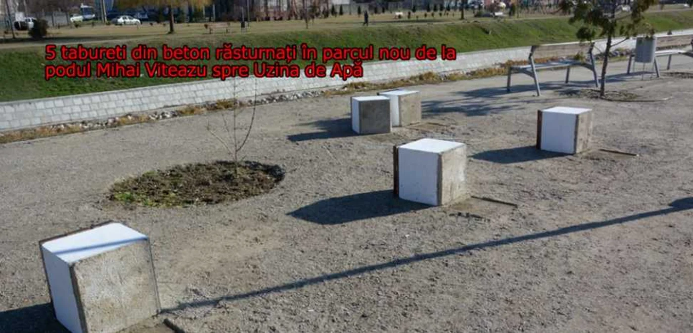 Vandalism în Timişoara FOTO Valentina Saroşi