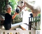 7 brigitte bardot covid vaccinare 3 jpg jpeg