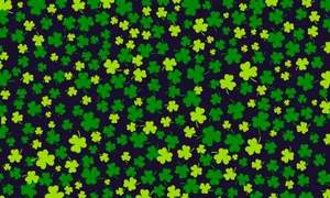 Test gaseste trifoiul cu patru foi  Sursa foto Betway jpg