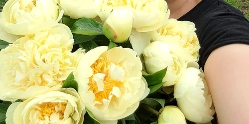 Iuliana Stanciu cultivatoare bujori FOTO Facebook Iuliana Stanciu jpg