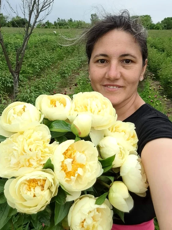 Iuliana Stanciu cultivă bujori de 10 ani FOTO Facebook Iuliana Stanciu