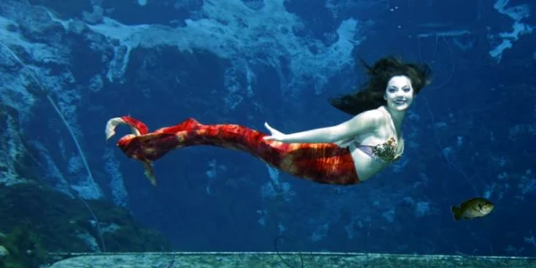 sirena