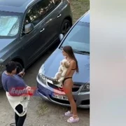 tanara confisca un caine bătut captura video jpg