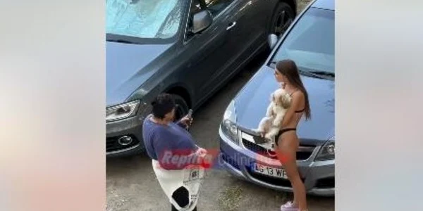 tanara confisca un caine bătut captura video jpg
