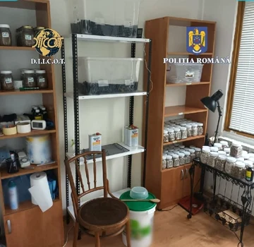 laborator droguri Foto Poliția Română jpeg