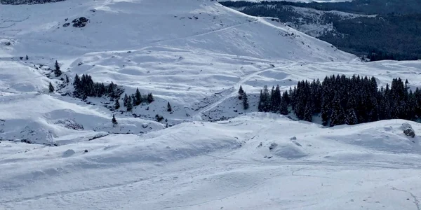 Imagini de iarnă din Bucegi. FOTO