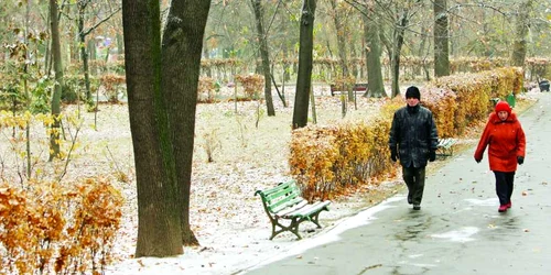 Fulgii de zăpadă s-au depus doar în parcuri