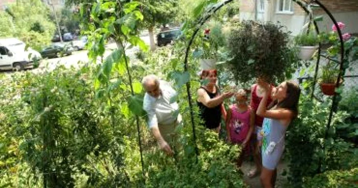 Craiova: Grădina de la bloc a devenit popas pentru academicieni