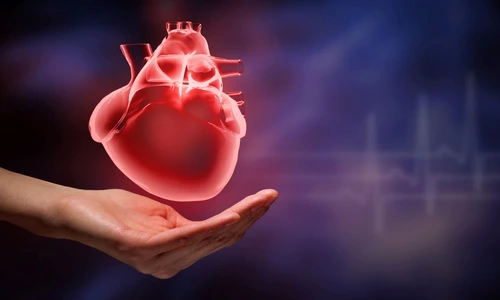 1 57138 original jpg jpeg