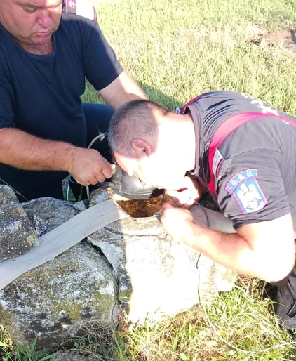 Misiunea a fost dificilă. FOTO ISU Argeș
