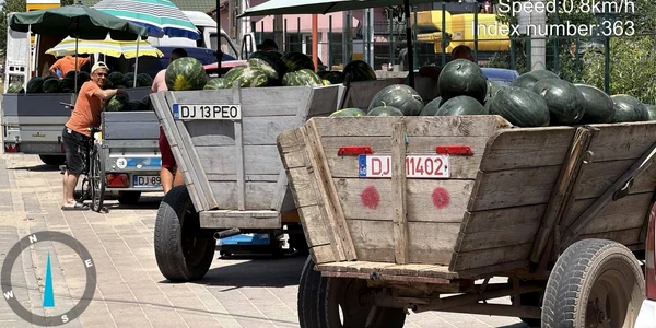primele lubenite din dabuleni 2026 0 foto fb daj dolj jpg