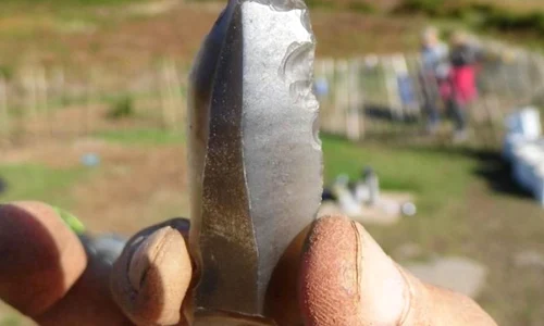 Indicii despre viaţa ultimilor colonizatori din era glaciară jpeg