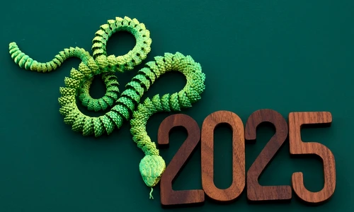Cum te va influenta energia Sarpelui de Lemn in 2025  Sursa foto shutterstock 2536140865 jpg