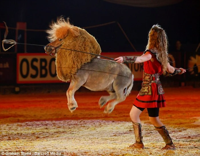 Pneiul Luma împreună cu dresoarea Mellie Philippot. FOTO: Barcroft Media