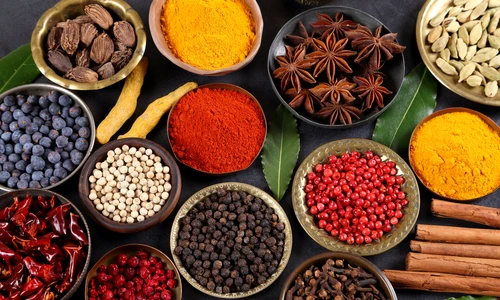 shutterstock 1909404049 jpg