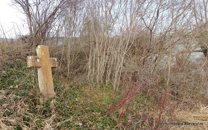Lacul de acumulare se găsește în Hunedoara / foto: Daniel Guță