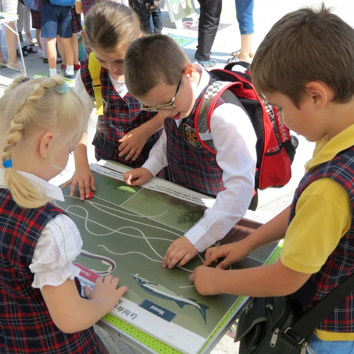 Copii învaţă, prin joc, de la specaliştii WWF, cum să fie mai aproape de natură