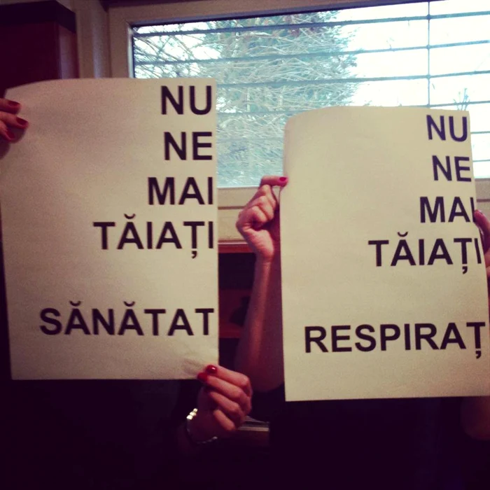 Mai mulţi bucureşteni vor face un flashmob prin care îşi exprimă nemulţumirea faţă de felul în care au fost toaletaţi copacii de pe marginea aleii principale din Parcul Herăstru din Capitală FOTO Adevărul