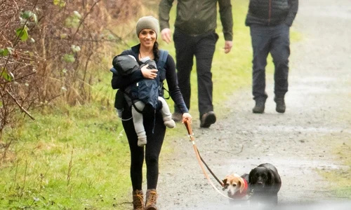 1 profimedia 0493920762 jpg jpeg