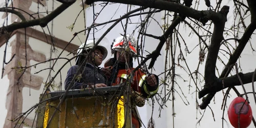 copac impodobit cu oua 