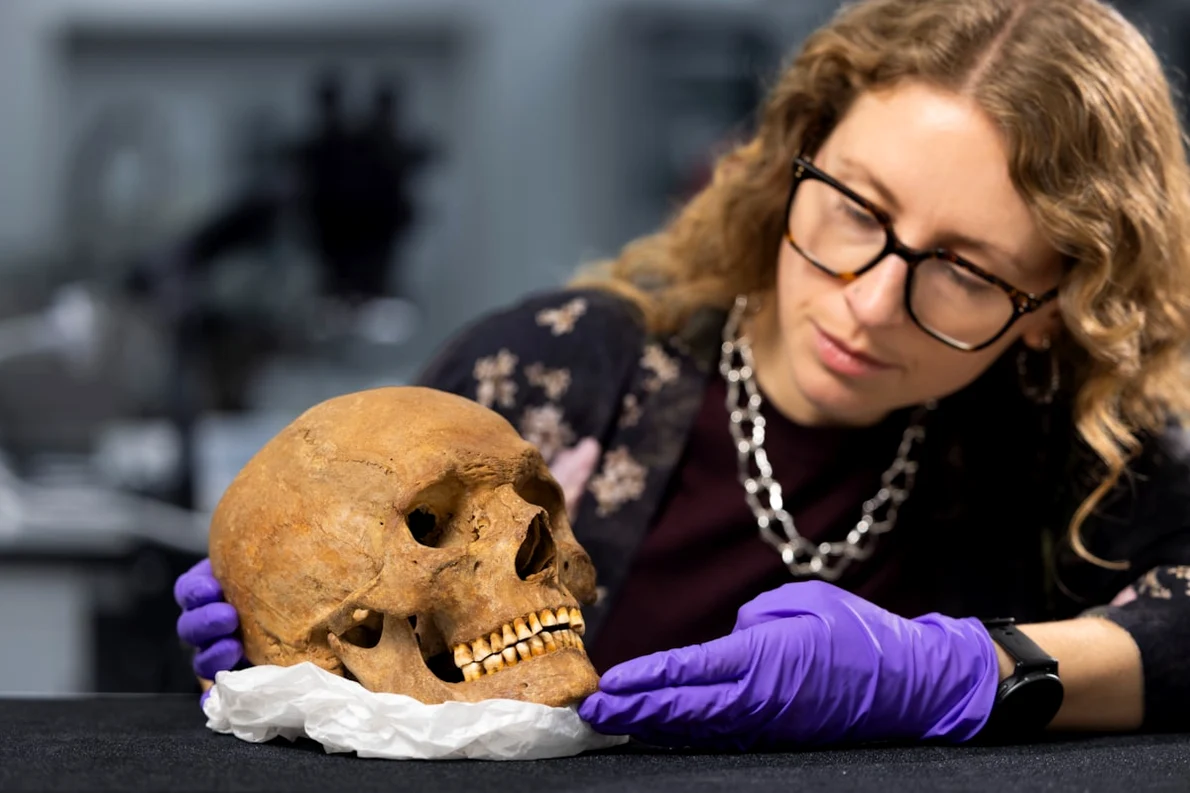 Dr. Jess Thompson examinează craniul unui bărbat din Scoția romană