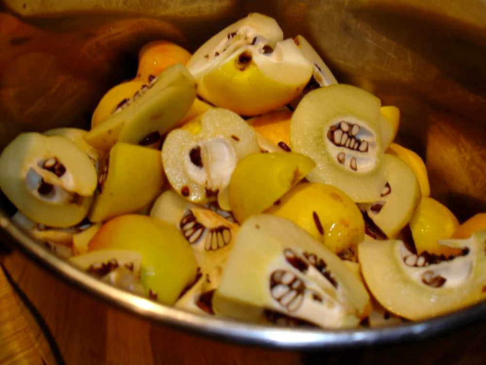 Fructele de toamnă care ard grăsimile! Slăbeşti 10 kilograme cu această dietă