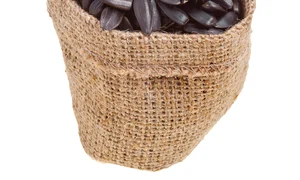 CLIIMA20120920 0026 1 jpeg