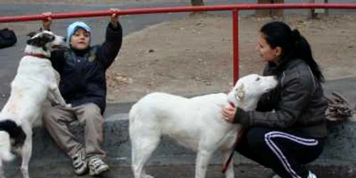 Ramona Evulescu şi fiul ei, Alex, au adoptat un câine fără stăpân