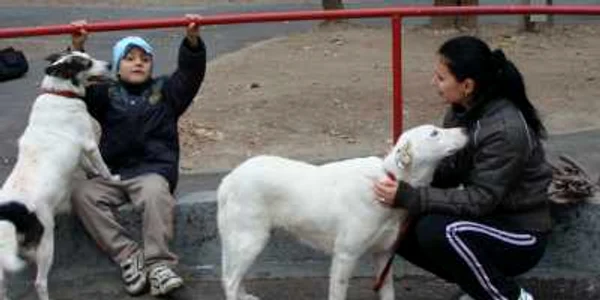 Ramona Evulescu şi fiul ei, Alex, au adoptat un câine fără stăpân