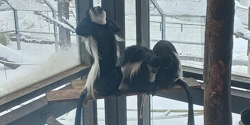 WhatsApp Image 2023 03 29 at 18 05 59 jpeg