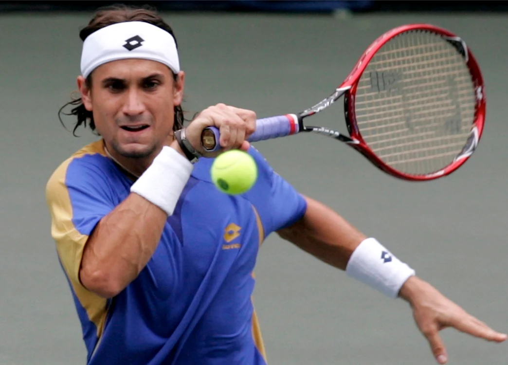 David Ferrer