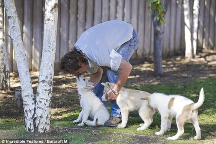 Paul Pondella şi Colette Duvall se înţeleg de minune cu lupii lor