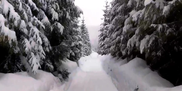 zpada bucegi