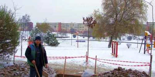 Datorita iniţiativei online a sătmăreanului Ciprian Negru, autorităţile au fost pus la treabă