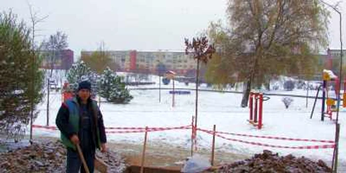 Datorita iniţiativei online a sătmăreanului Ciprian Negru, autorităţile au fost pus la treabă