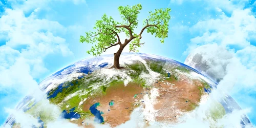 Ecologie planeta pamant FOTO Shutterstock