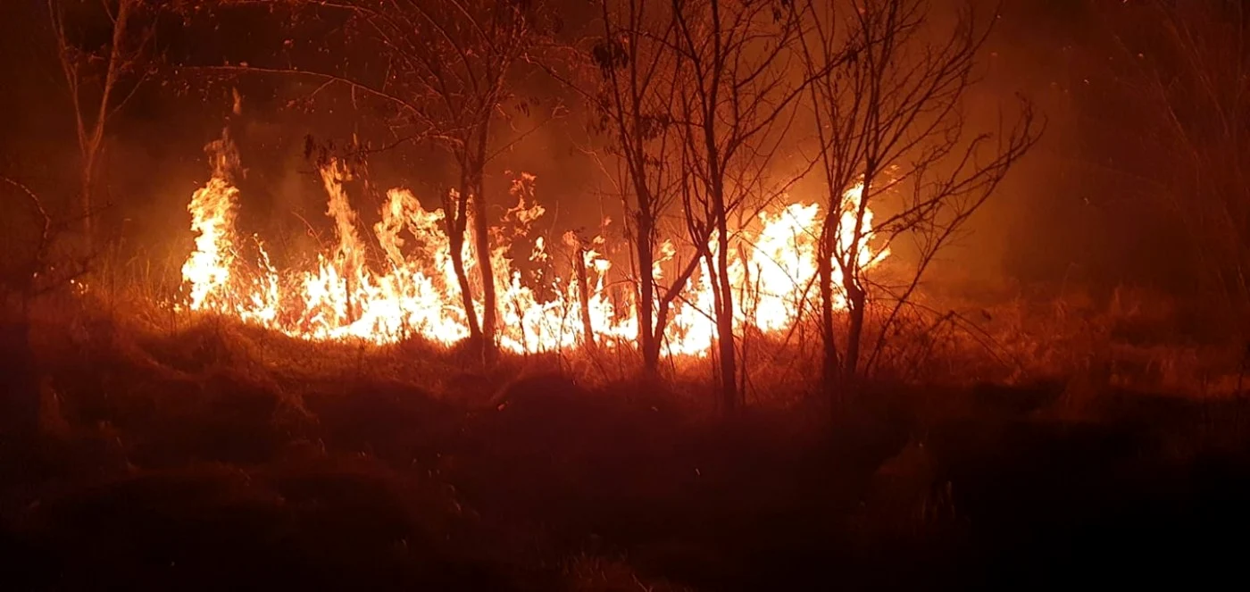 incendiu vegetat aninoasa
