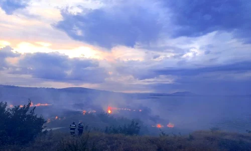 incendiu vegetatie tulcea isu 768x576 jpeg