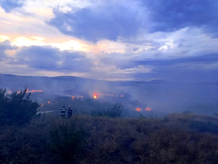 
    Încendiul de la Babadag a distrus peste 10 ha de vegetație uscatăFoto: g4media.ro  