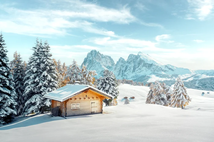 Bărbatul a încasat banii pentru închiriere după ce a postat un anunț fals FOTO Shutterstock